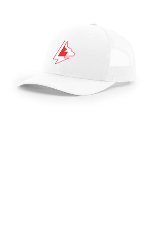 AMAROK - Richardson 112 Hat